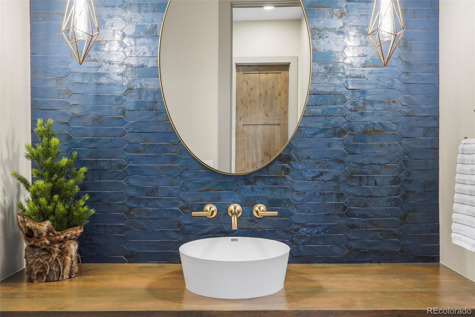 15411 Dinosaur Ridge Road Morrison, CO 80465 - Photo 15 of 50 a view of a bathroom with a potted plant