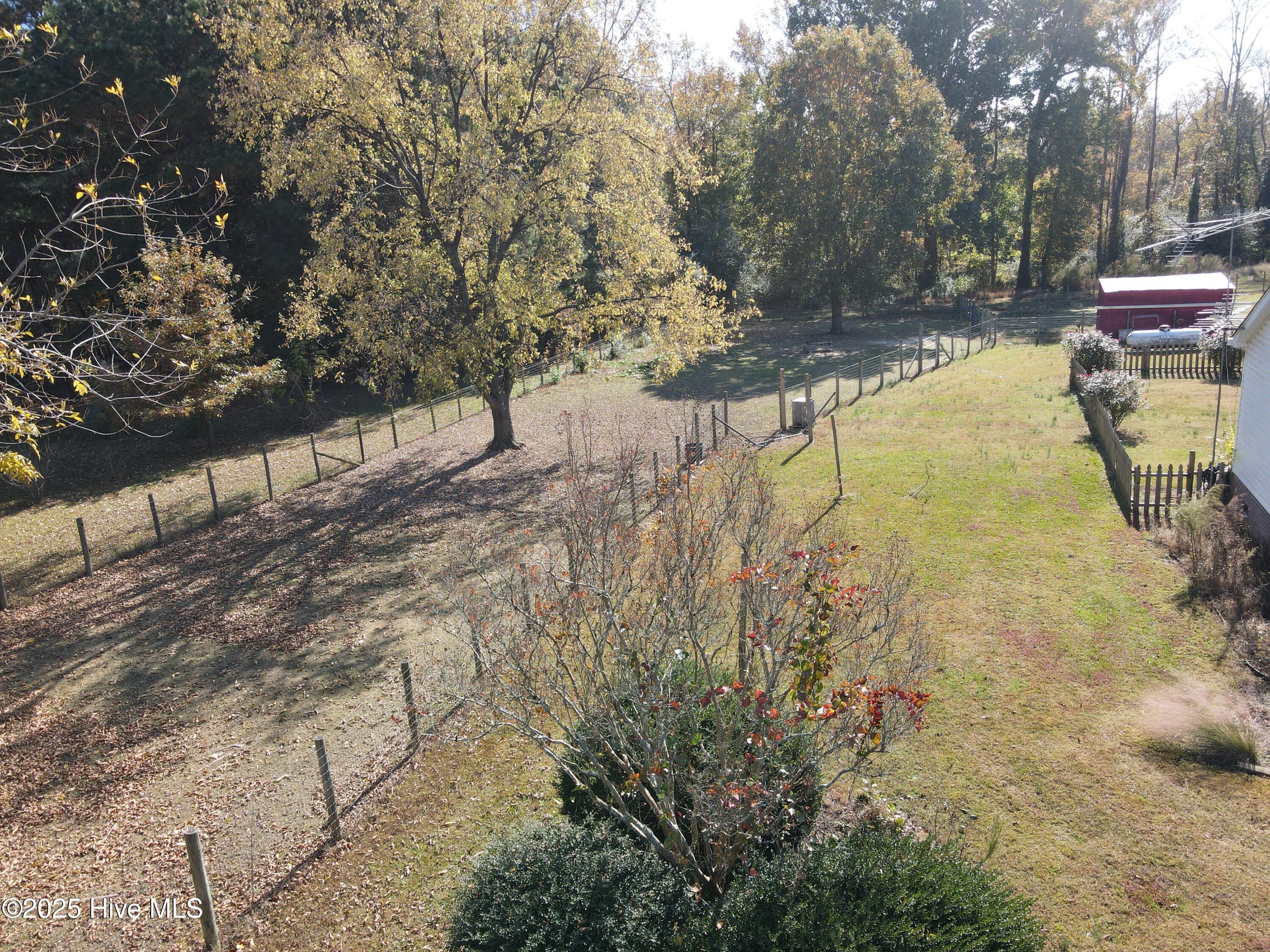 397 Spivey Road Hobbsville, NC 27946 - Photo 13 of 33 backyard