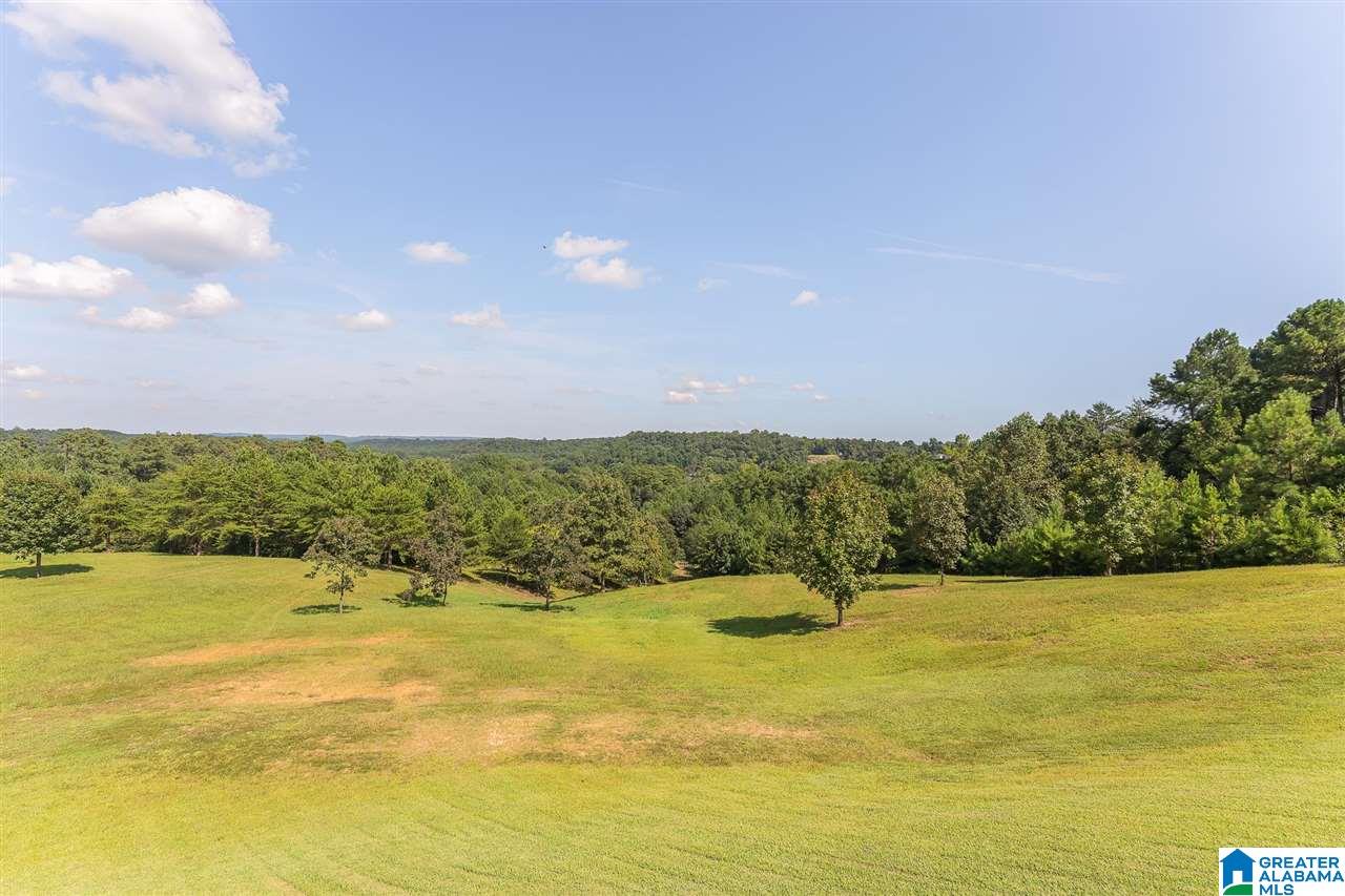 361 County Road 256 Cullman, AL 35057 - Photo 13 of 49