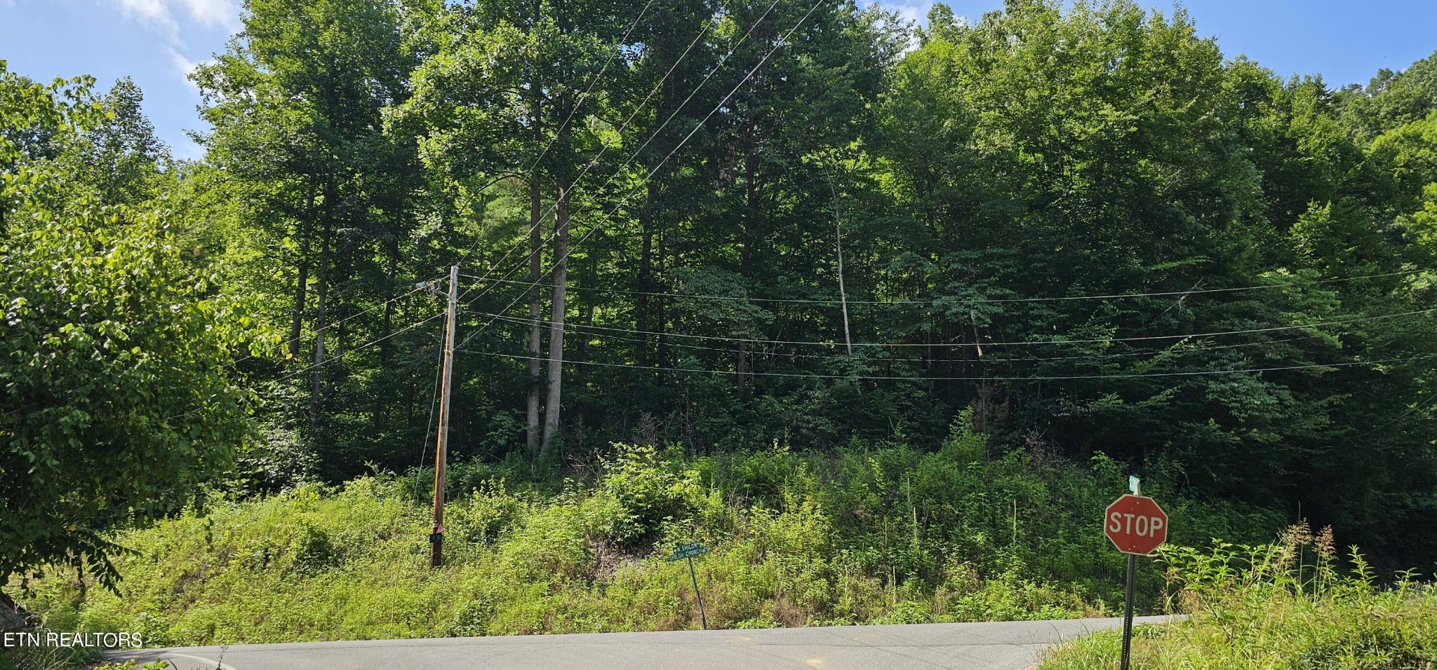 0 North Shiloh Road Seymour, TN 37865 - Photo 1 of 2 Gallery Image 1
