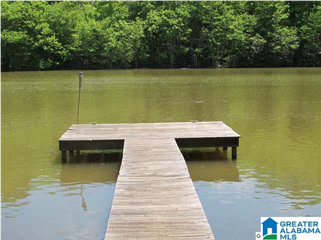 264 County Road 2014 Delta, AL 36258 - Photo 4 of 10