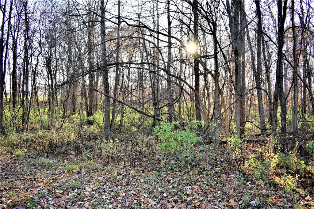 10370 Arend Road Quincy, IN 47456 - Photo 25 of 38 Gallery Image 25