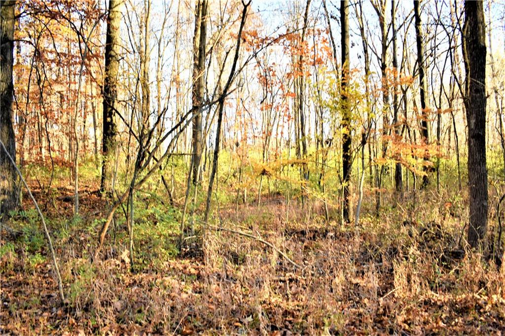 10370 Arend Road Quincy, IN 47456 - Photo 27 of 38 Gallery Image 27