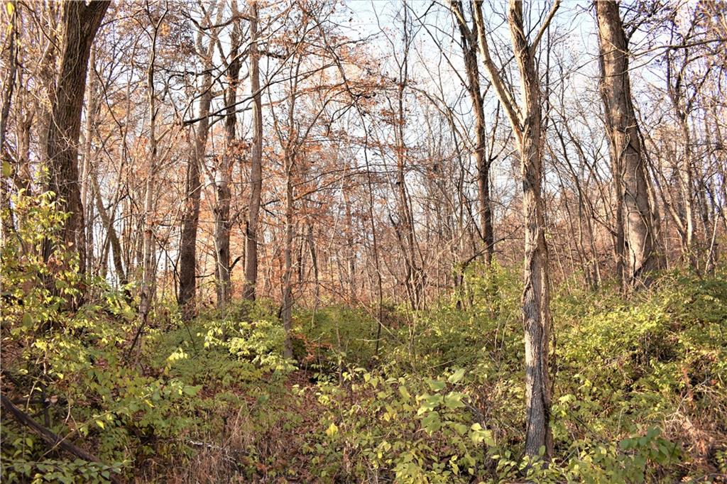 10370 Arend Road Quincy, IN 47456 - Photo 28 of 38 Gallery Image 28