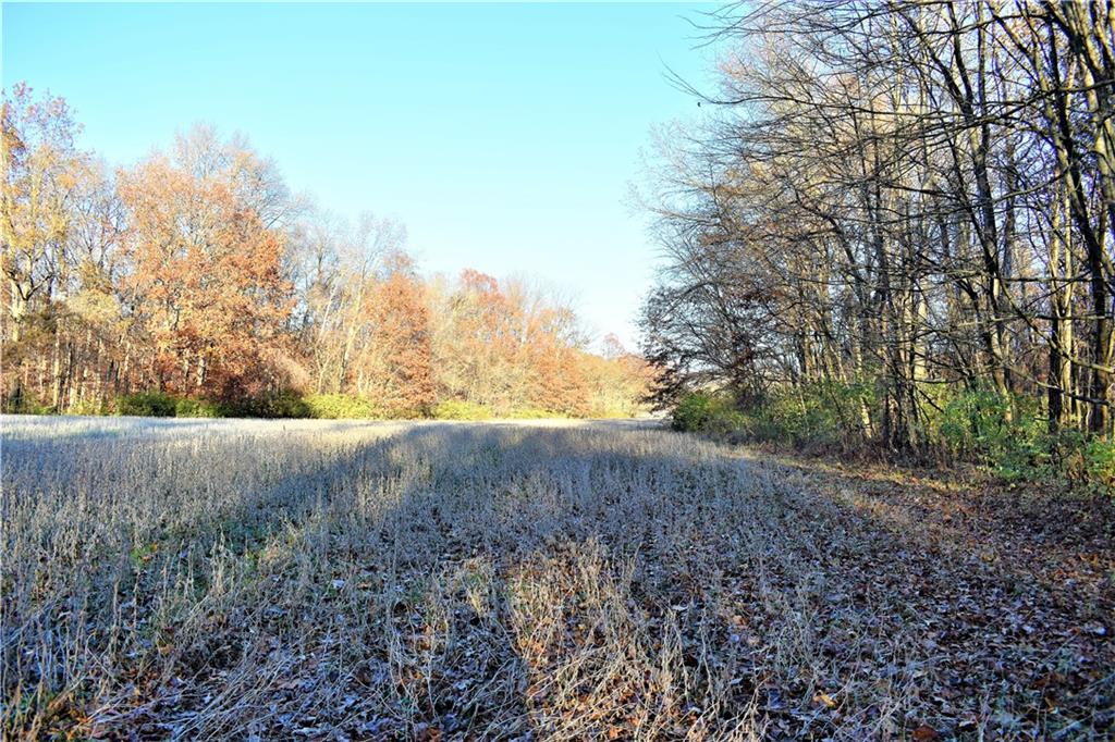 10370 Arend Road Quincy, IN 47456 - Photo 29 of 38 Gallery Image 29