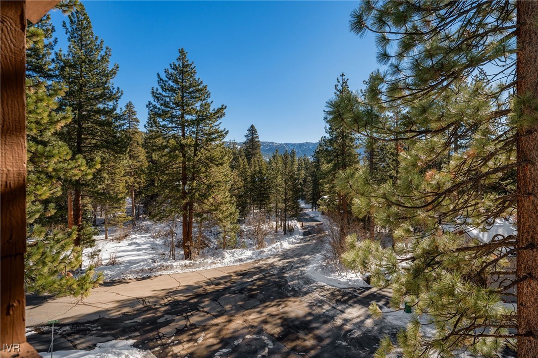 699 Hogan Court, Unit 2 Incline Village, NV 89451 - Photo 21 of 37 View From the Deck to Mountains/Trees