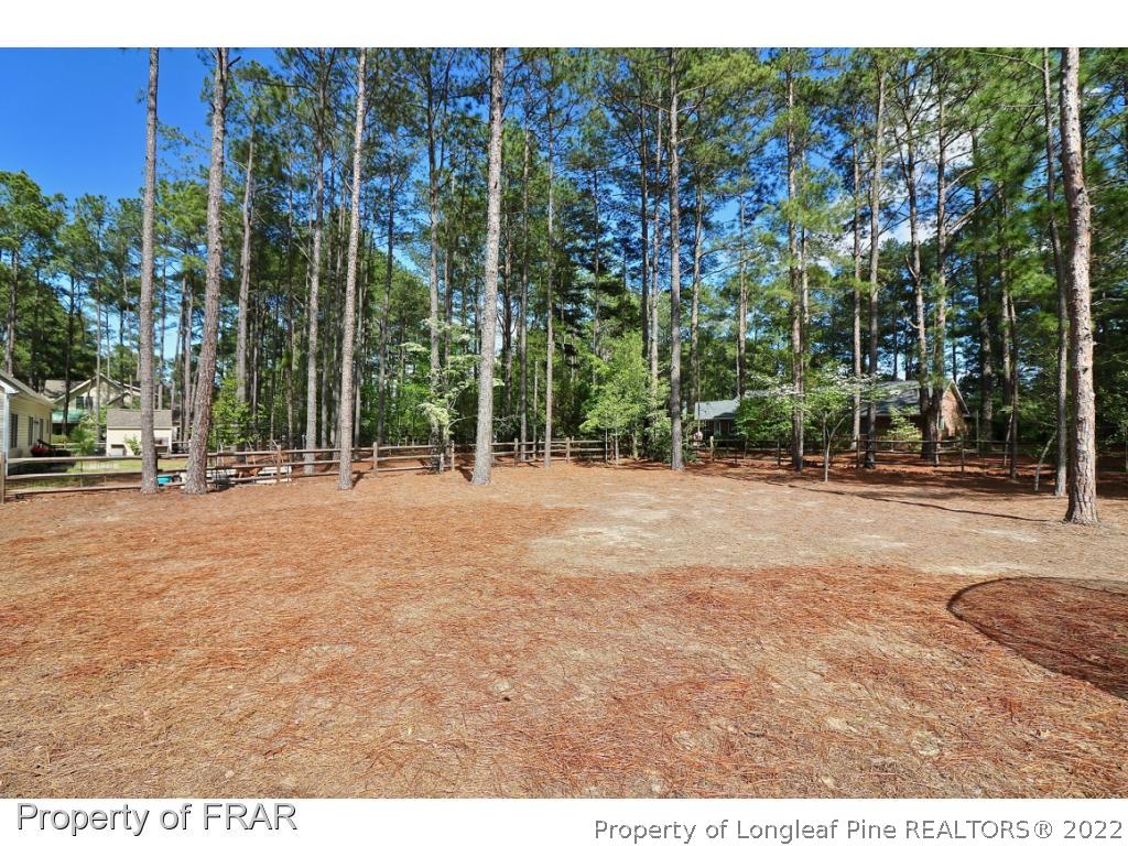 1187 Rays Bridge Road Whispering Pines, NC 28327 - Photo 35 of 35 a view of outdoor space with city view