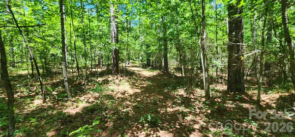 $39,900 | 171 Bambi Lane, Mill Spring, NC 28756