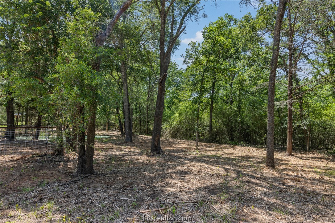 Tbd Weber Road Bryan, TX 77808 - Photo 10 of 43