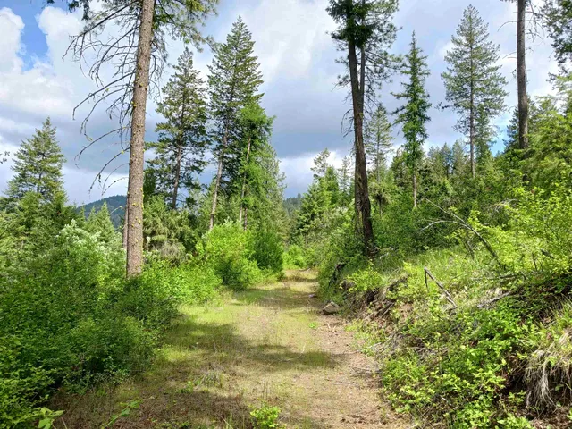 $64,999 | Parcel D Daisy Mine Road, Rice, WA 99167