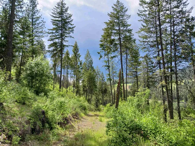 $64,999 | Parcel D Daisy Mine Road, Rice, WA 99167