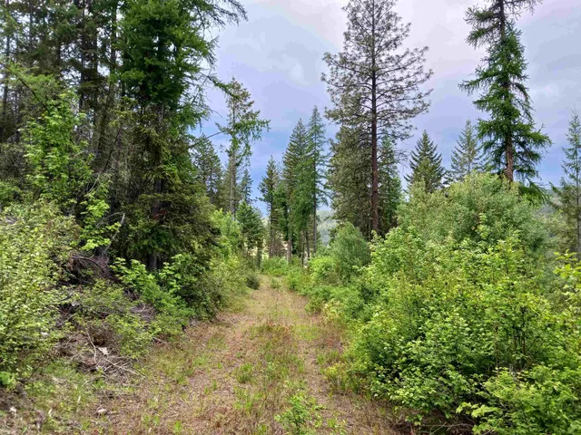 $64,999 | Parcel D Daisy Mine Road, Rice, WA 99167