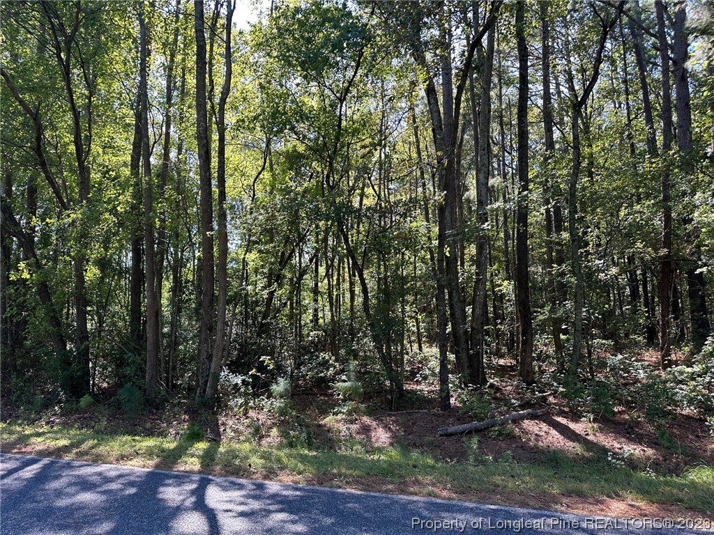 2 Eason Road Wade, NC 28395 - Photo 4 of 4 a view of a yard