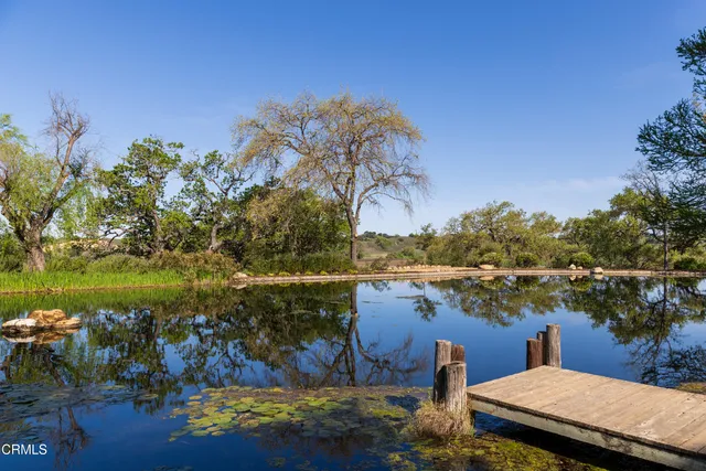 a house with a tree in the background