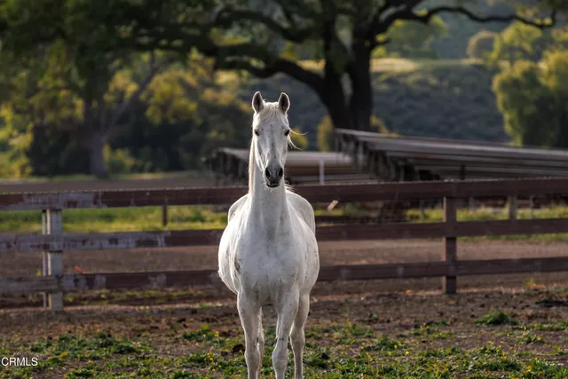 a view of a town with mountains in the background