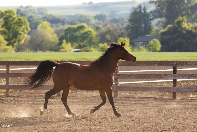 $14,500,000 | 3325 Figueroa Mountain Road, Los Olivos, CA 93441