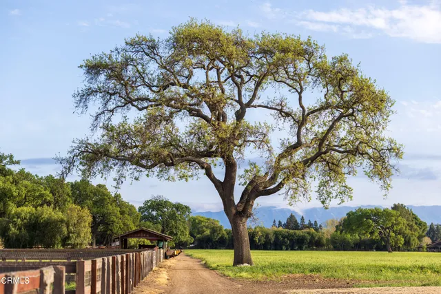 $14,500,000 | 3325 Figueroa Mountain Road, Los Olivos, CA 93441