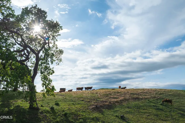 $14,500,000 | 3325 Figueroa Mountain Road, Los Olivos, CA 93441