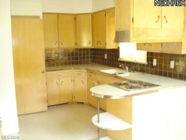 8400 West Moreland Road Cleveland, OH 44129 - Photo 7 of 23 Kitchen