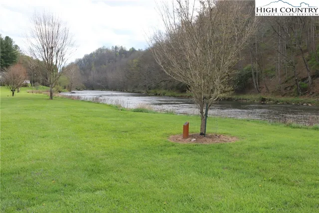 a view of a garden with a tree