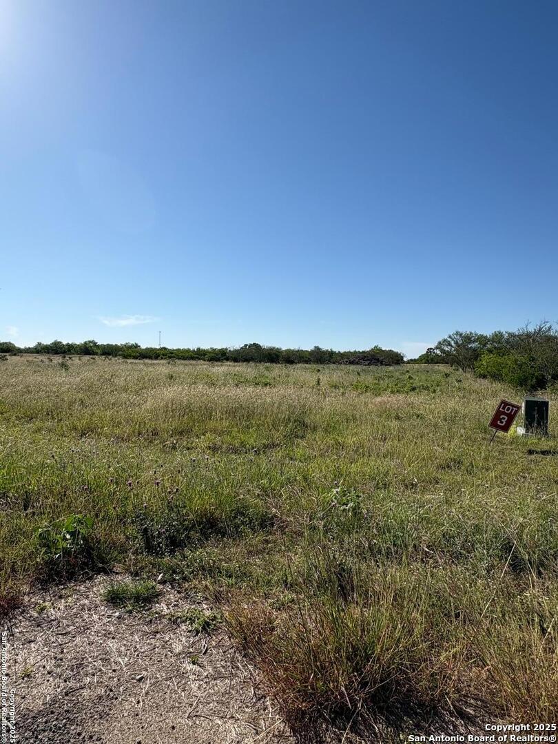 117 Paisano Trail Beeville, TX 78102 - Photo 6 of 6
