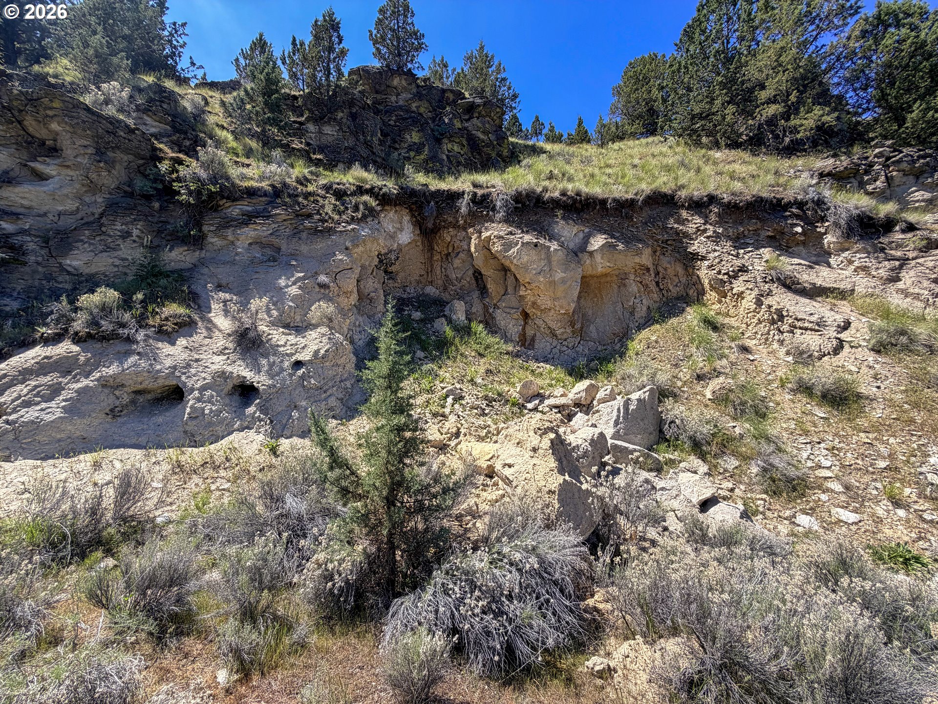 Luce Creek Road John Day, OR 97845 - Photo 15 of 18
