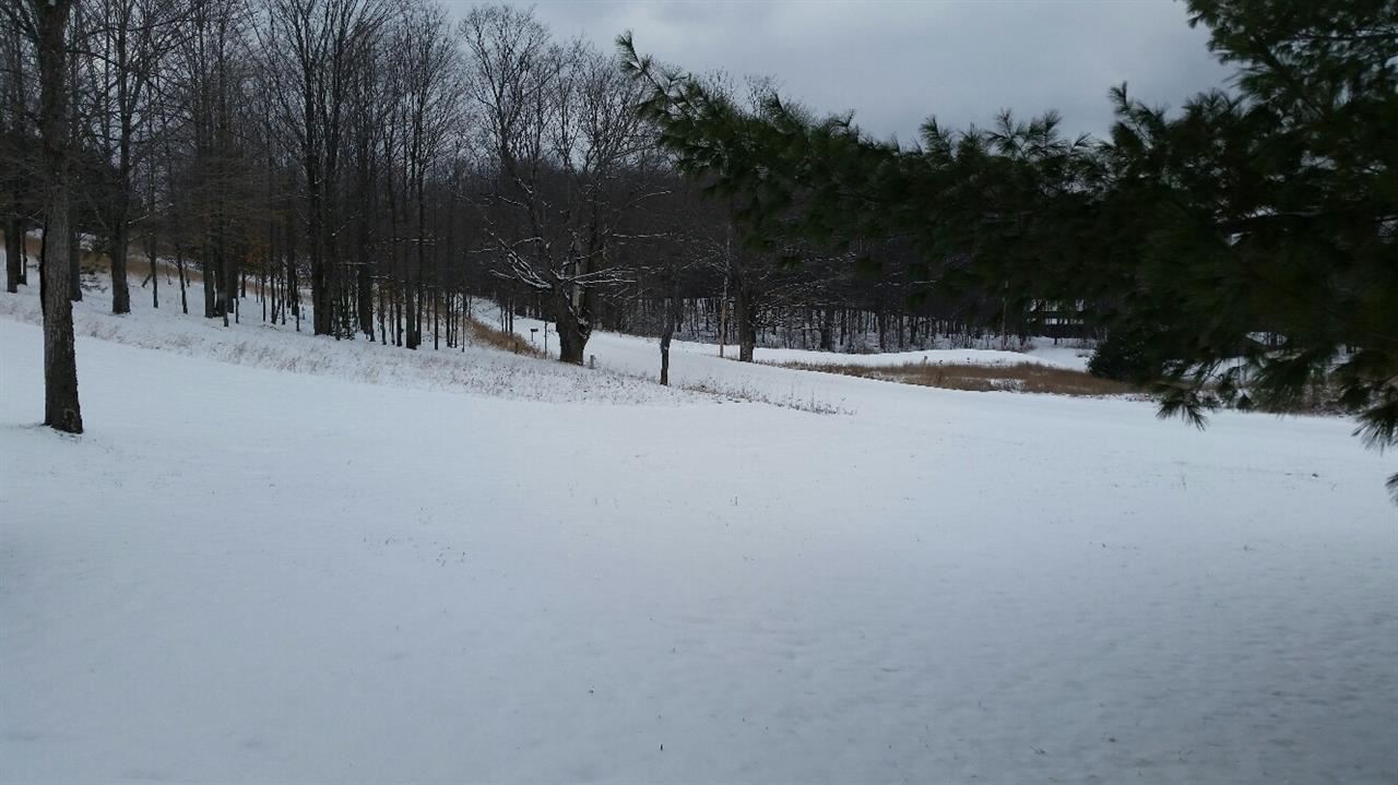 658 East 26 Road Boon, MI 49618 - Photo 22 of 26 1792426-21.JPG