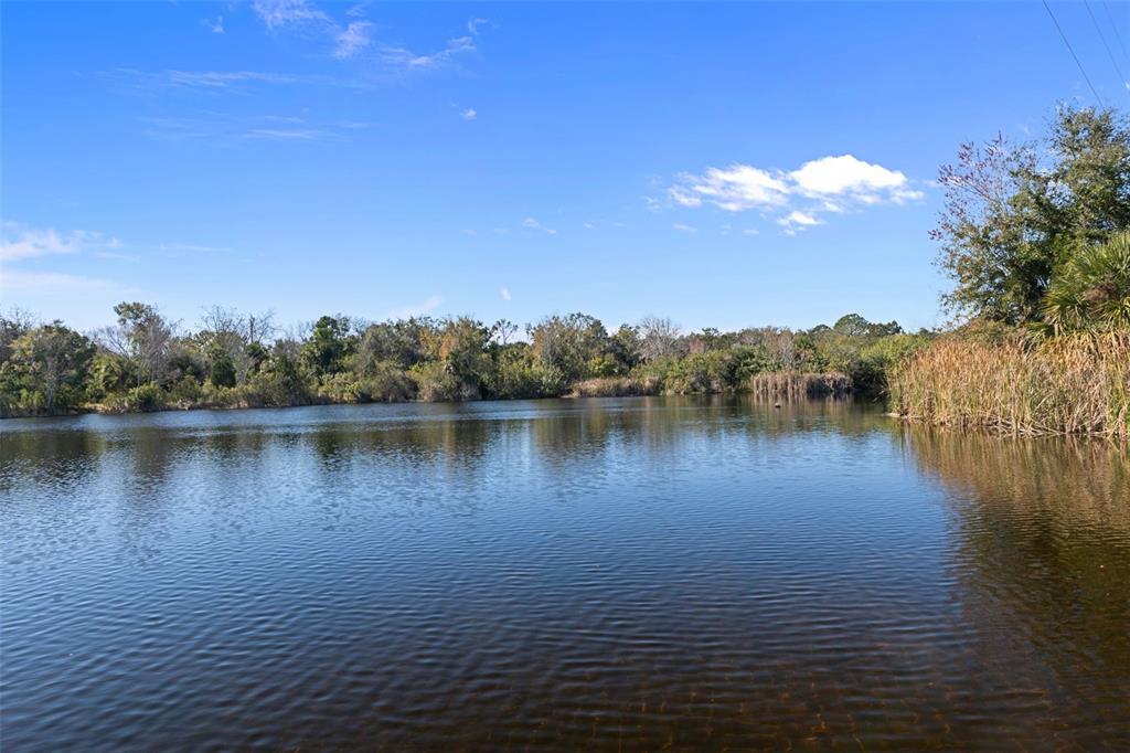 8301 Congress Street Port Richey, FL 34668 - Photo 79 of 98 Gallery Image 79