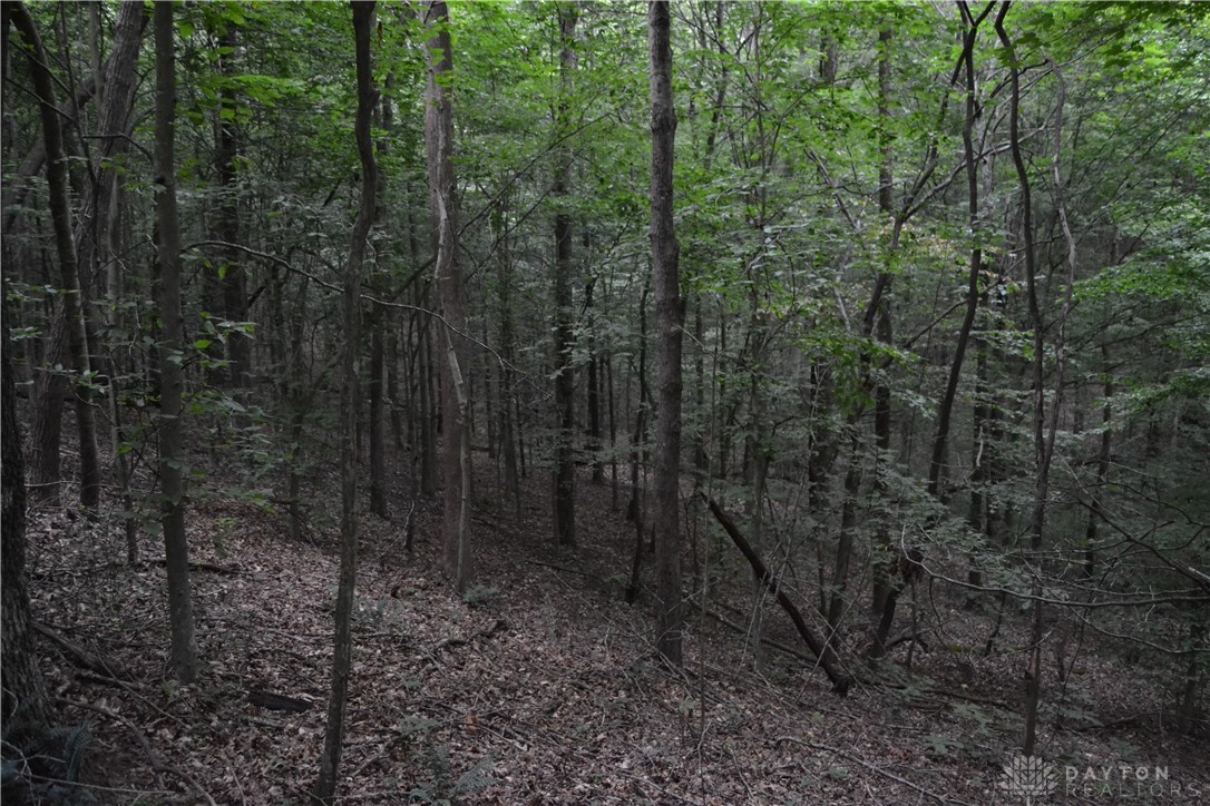 94-acres Naces Run Road Stout, OH 45684 - Photo 26 of 36 Gallery Image 26