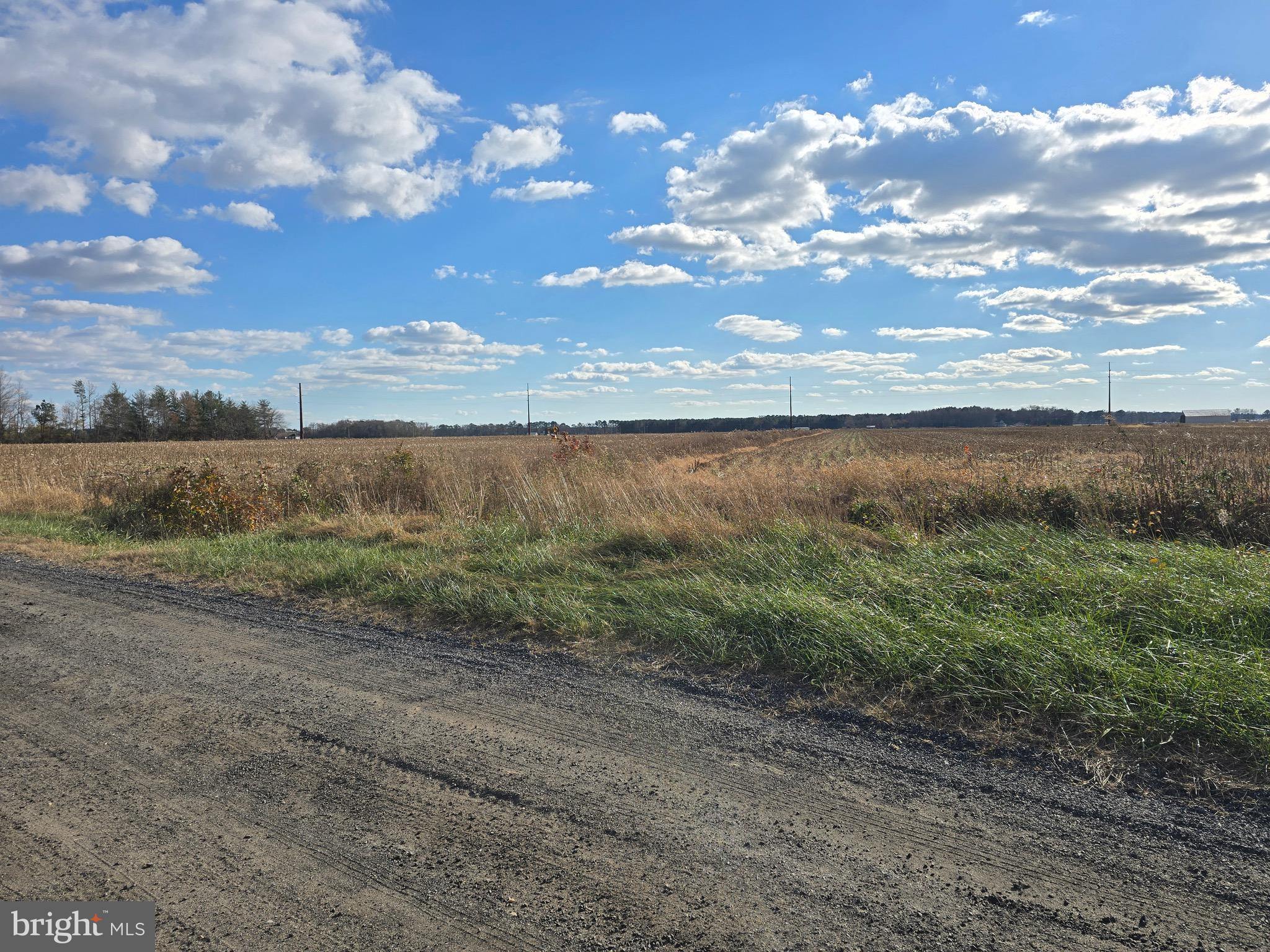 1 Poplar Neck, Unit ROAD Willards, MD 21874 - Photo 11 of 14 View Looking Souhteast from Lot