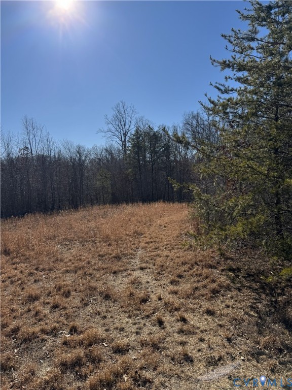 0 Freshwater Creek Road Mineral, VA 23117 - Photo 13 of 13 View of local wilderness
