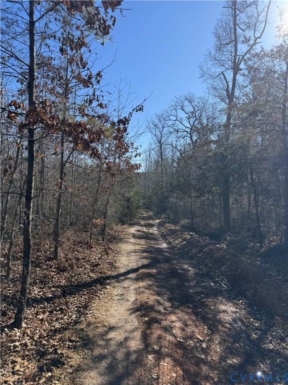 0 Freshwater Creek Road Mineral, VA 23117 - Photo 4 of 13 View of dirt / gravel road with a view of trees