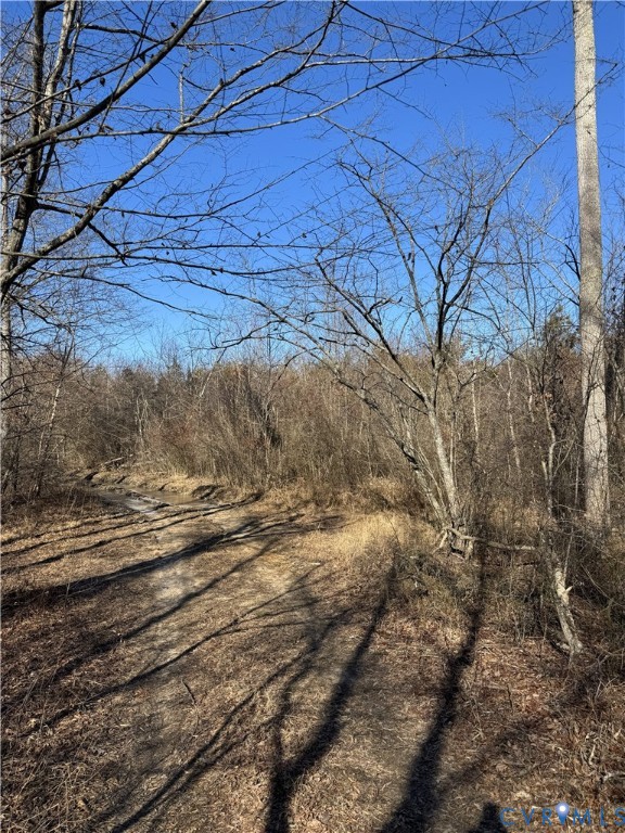 0 Freshwater Creek Road Mineral, VA 23117 - Photo 7 of 13 View of undeveloped land
