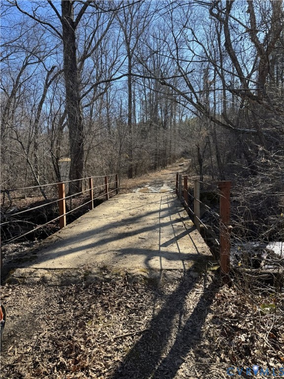 0 Freshwater Creek Road Mineral, VA 23117 - Photo 8 of 13 View of yard