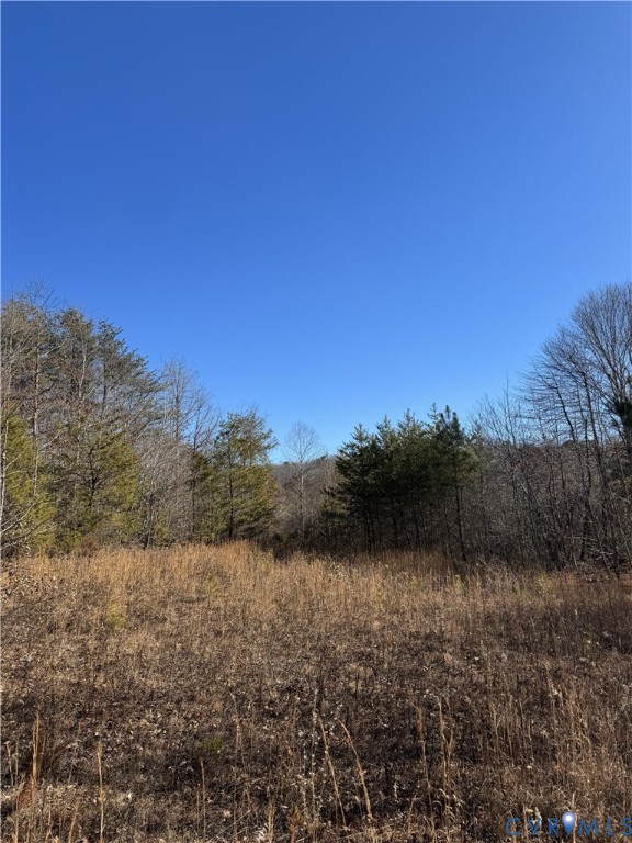 0 Freshwater Creek Road Mineral, VA 23117 - Photo 9 of 13 View of undeveloped land with rural landscape