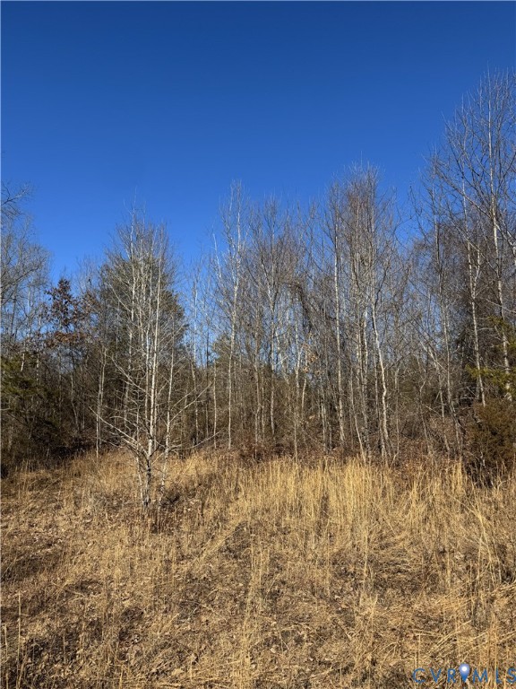 0 Freshwater Creek Road Mineral, VA 23117 - Photo 10 of 13 View of nature