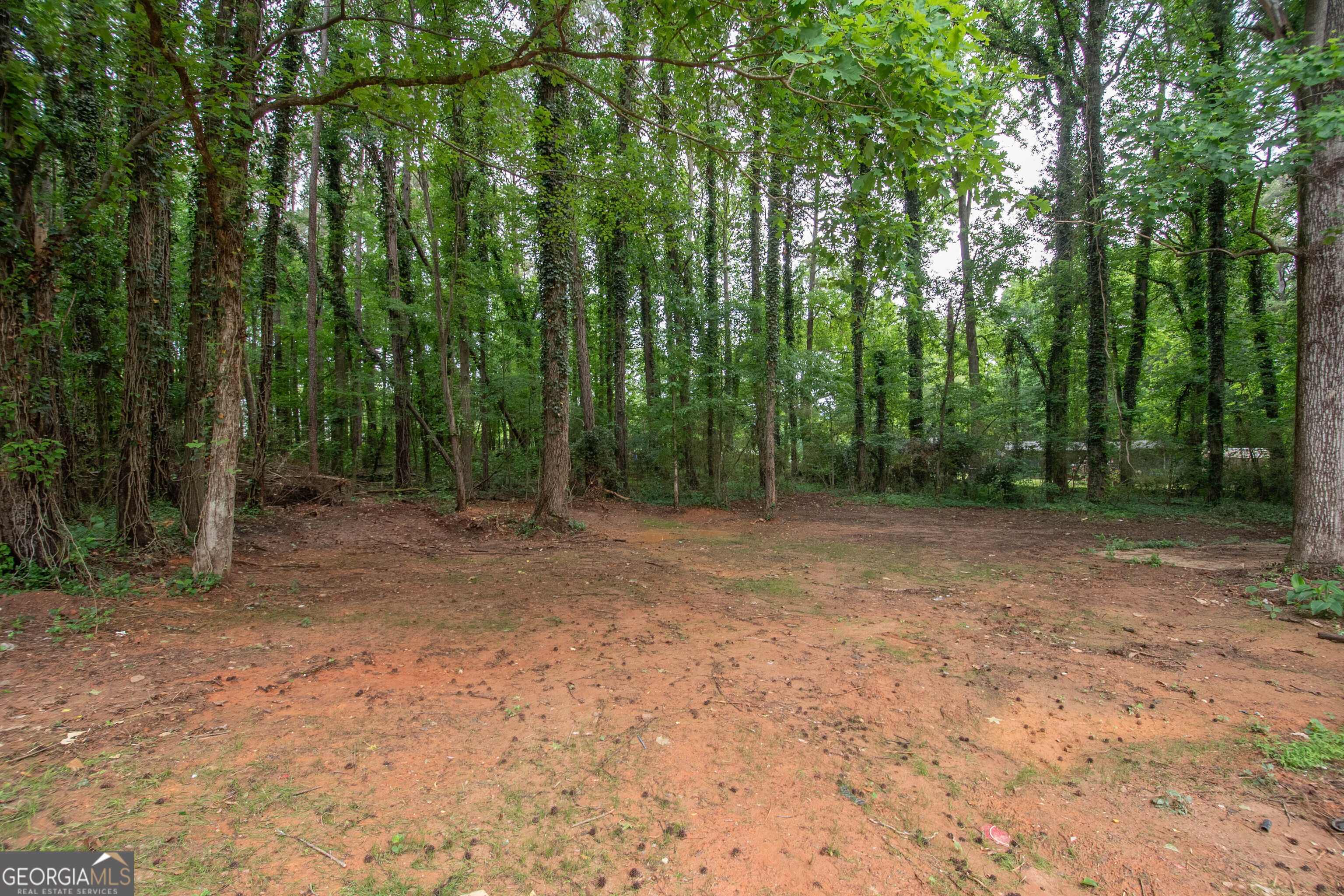 223 Donald Lamb Road Moreland, GA 30259 - Photo 35 of 40