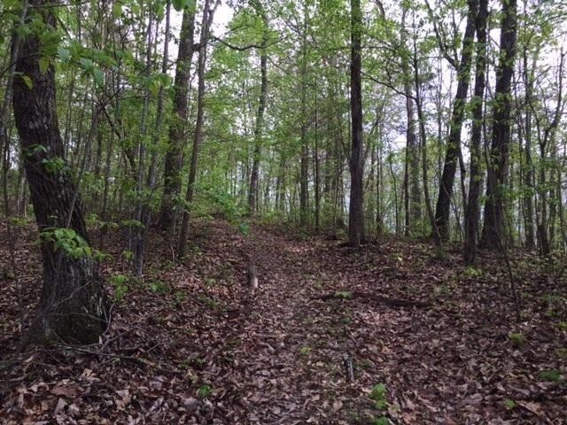 48 Jackson Point Road Sewanee, TN 37375 - Photo 2 of 12 Gallery Image 2