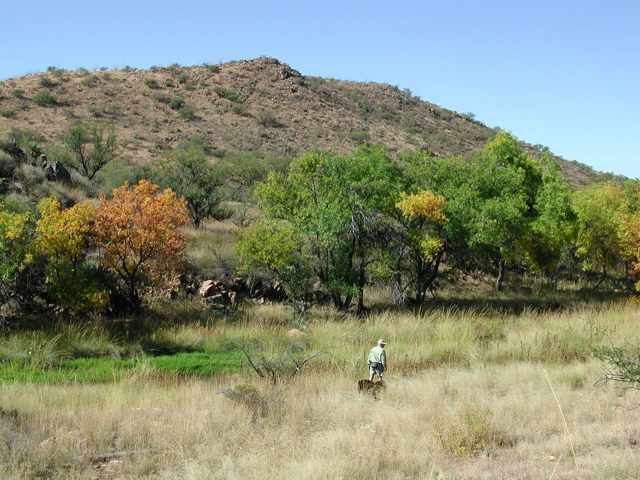 Tbd Bond Canyon Road, Unit 32/1 Rio Rico, AZ 85648 - Photo 1 of 23