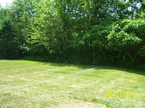 12150 West Coldwater Road Davison, MI 48423 - Photo 11 of 12 20229746-10.JPG