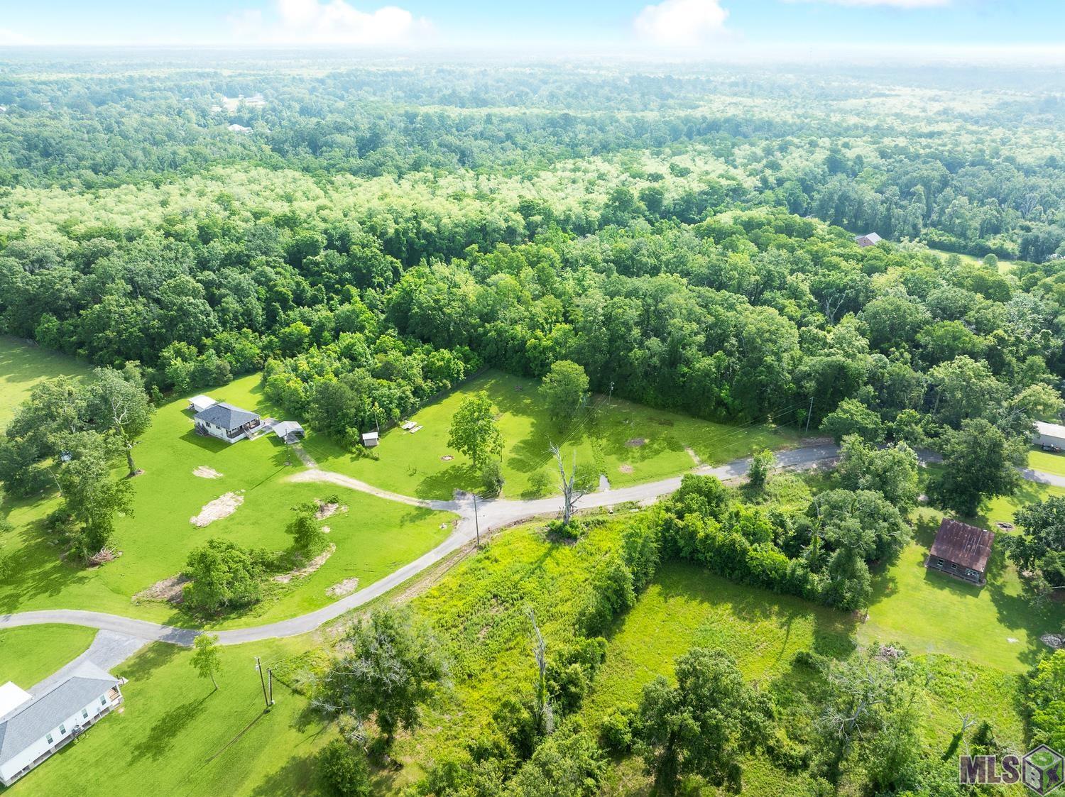12246 Peter Bourgeois Road St. Amant, LA 70774 - Photo 19 of 21