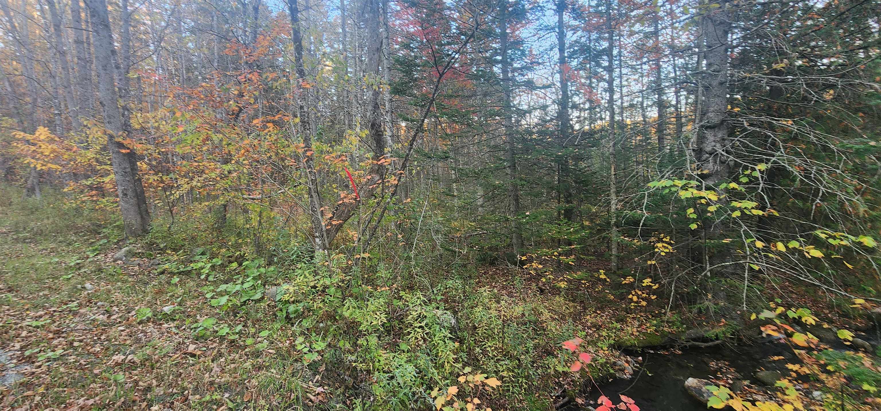 C Riddel Pond Road East Barre, VT 05649 - Photo 3 of 9