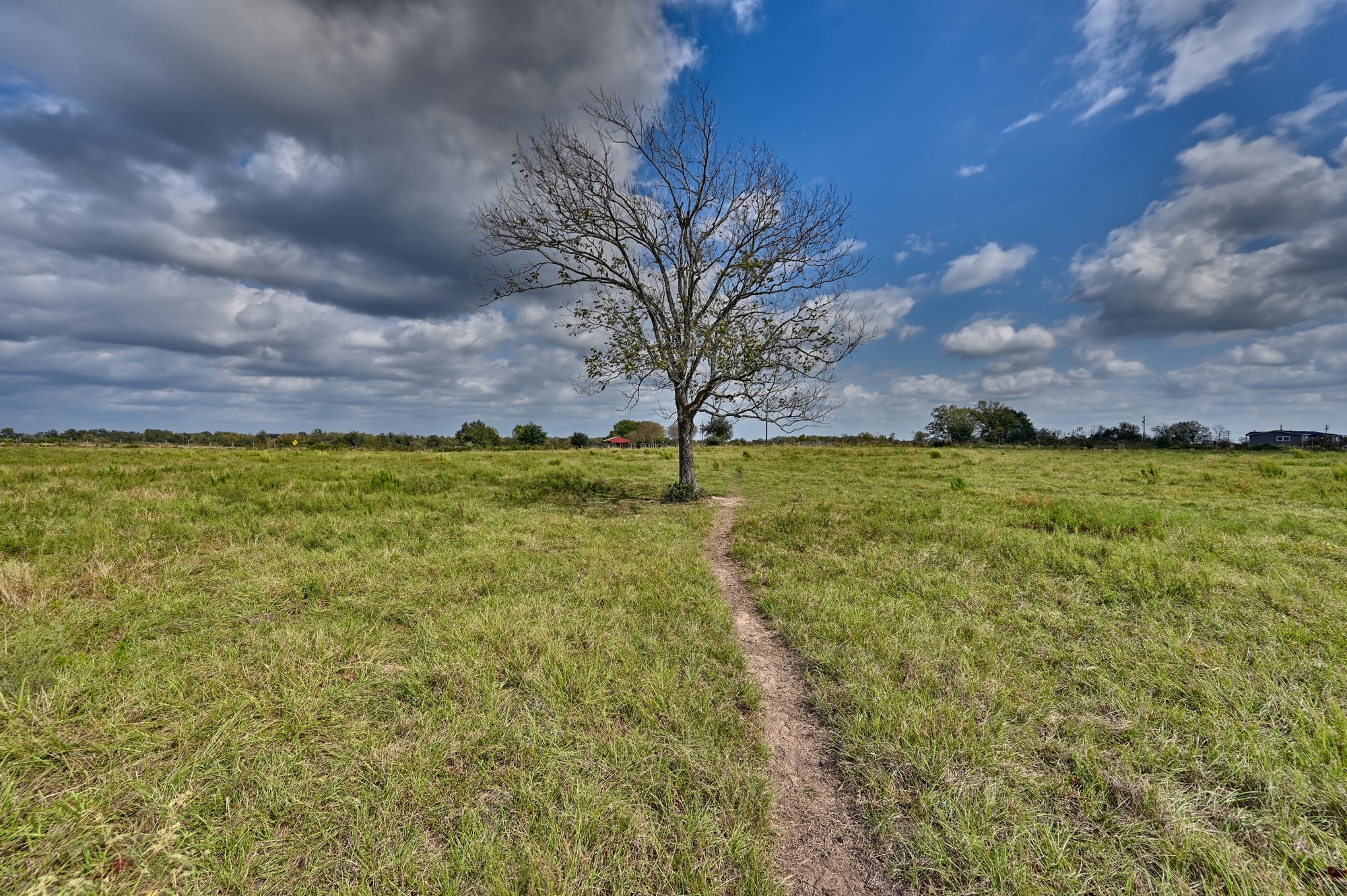 1901 Newsom Road Bellville, TX 77418 - Photo 19 of 20 a view of a lake view