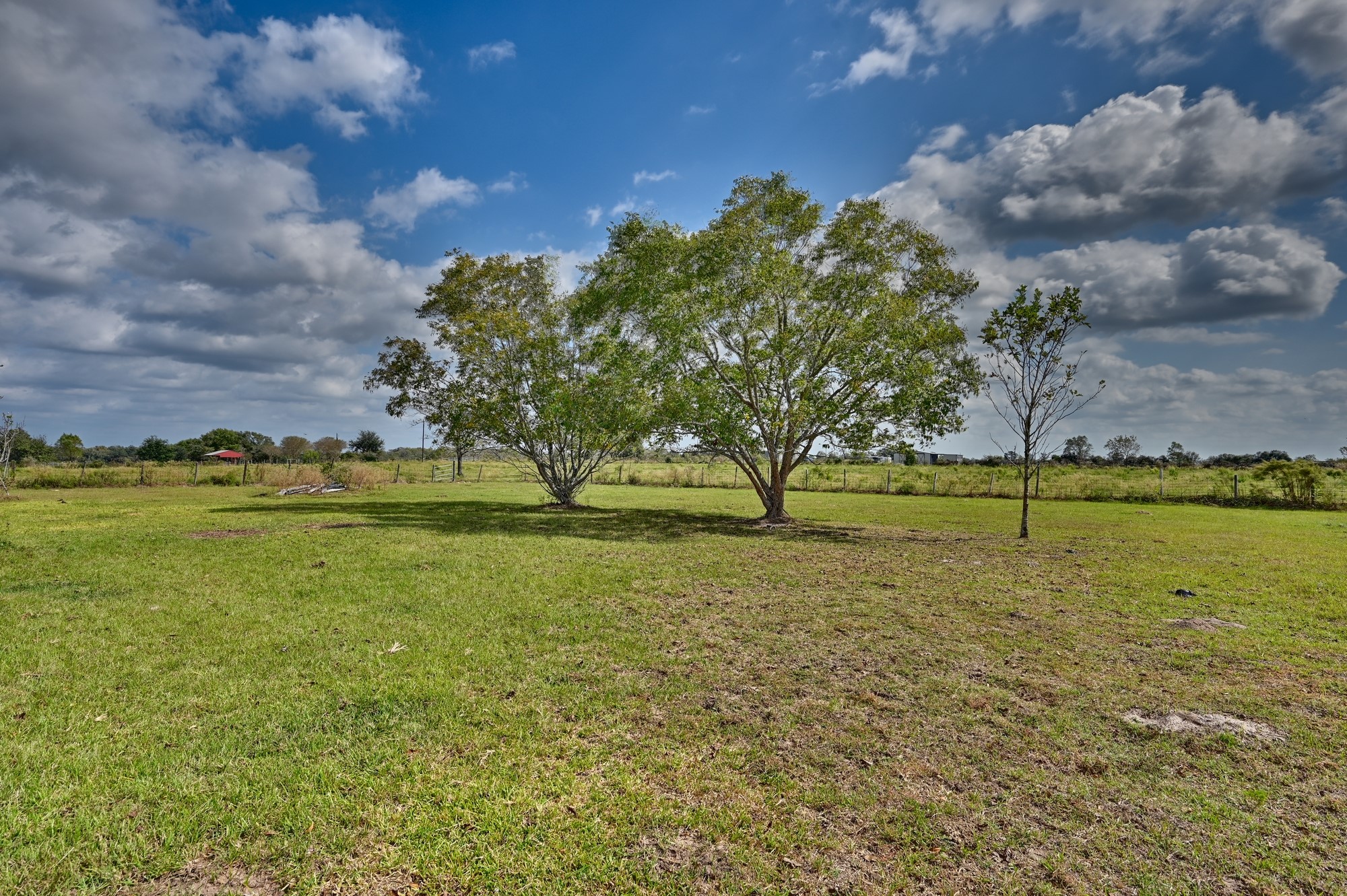 1901 Newsom Road Bellville, TX 77418 - Photo 20 of 20