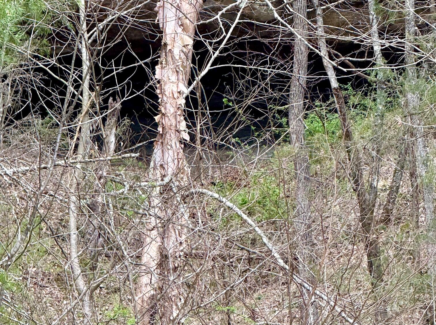 207 Gilliam Road Jackson, KY 41339 - Photo 28 of 28 IMG_3192