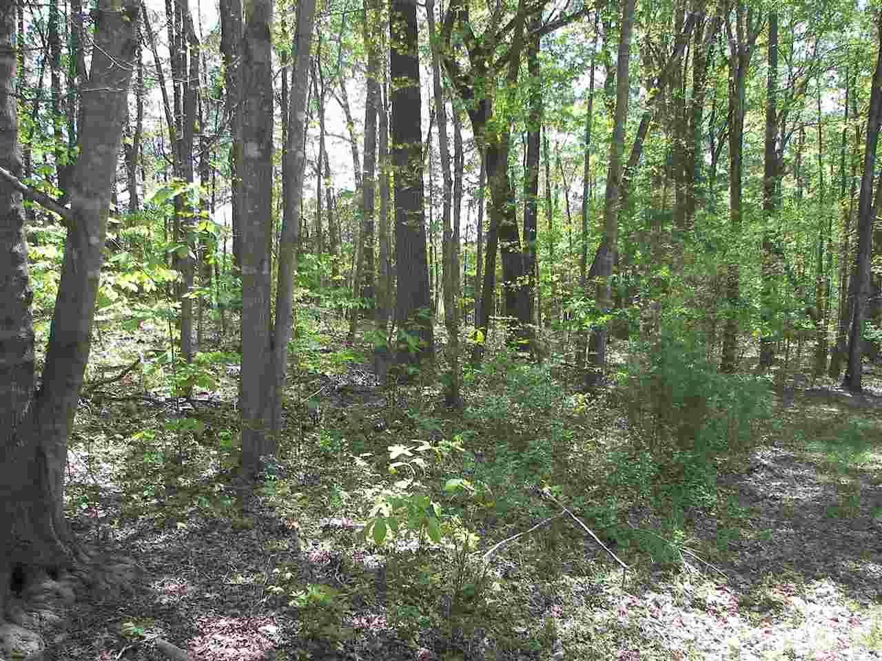 Tbd New Sharon Church Road Rougemont, NC 27572 - Photo 1 of 1