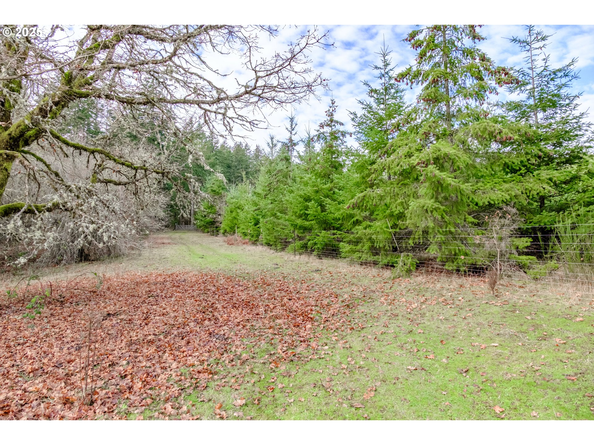 0 Next To) Airlie Road Monmouth, OR 97361 - Photo 29 of 34