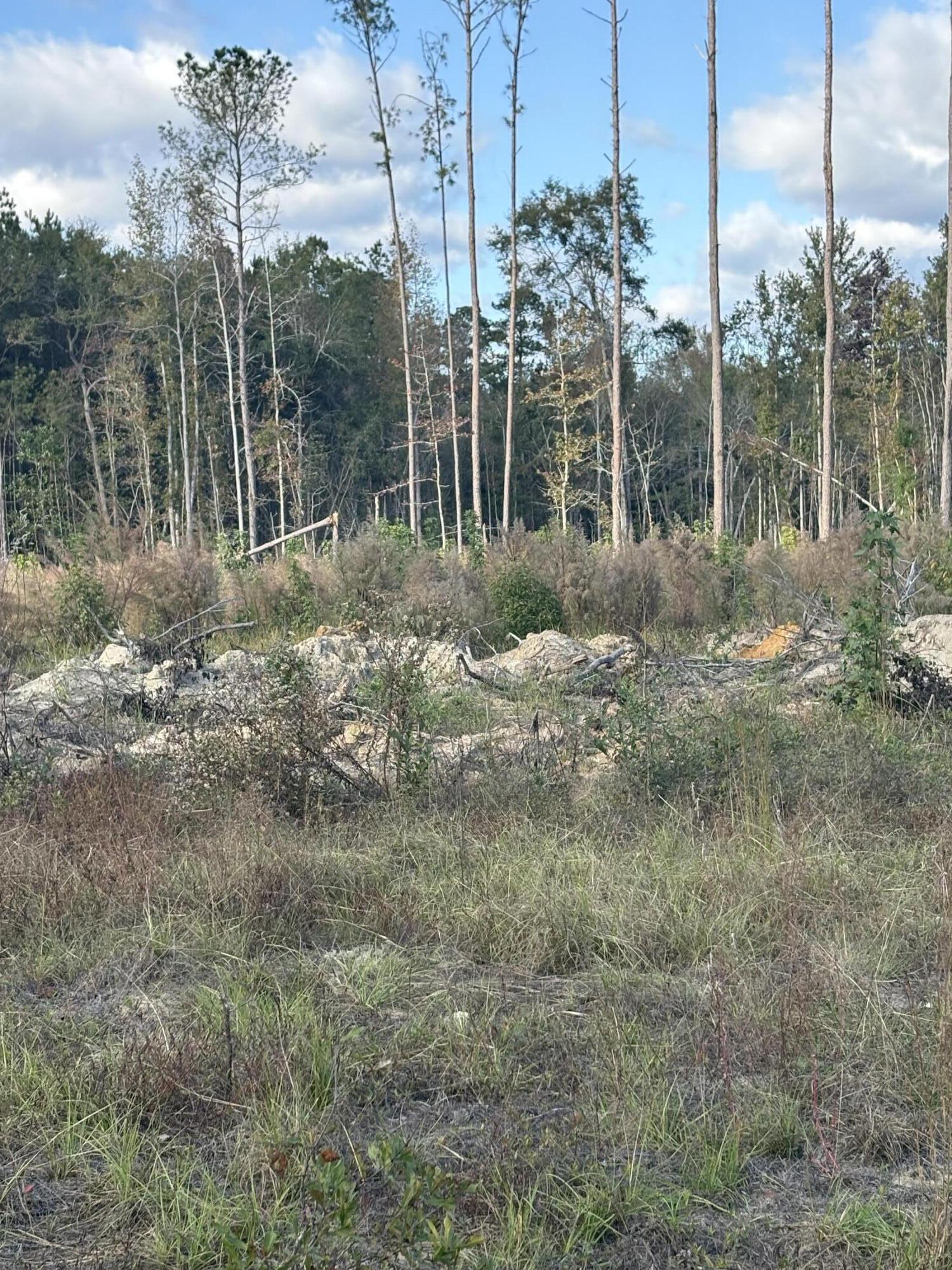 0 McAllister Road Kingstree, SC 29556 - Photo 2 of 3 IMG_0377