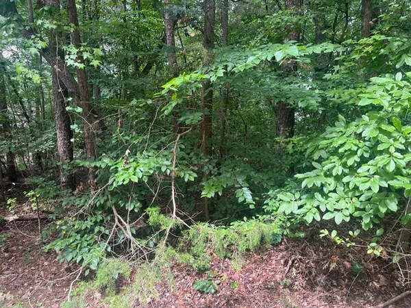 $10,000 | 137 Tulip Lane, Westminster, SC 29693