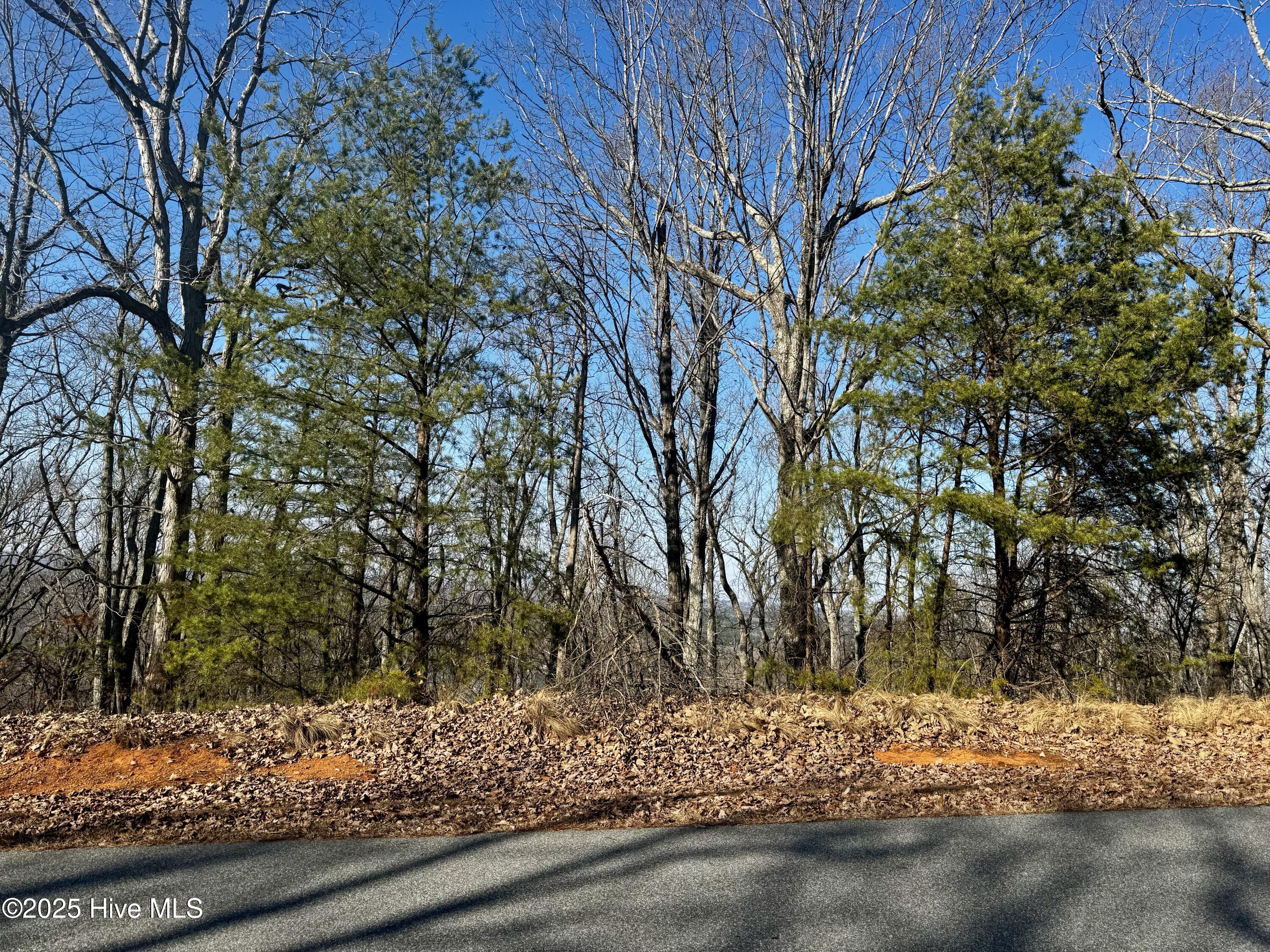IMG_1420